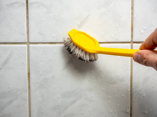 Best Mold Testing and Inspection Services in Puget Island, WA